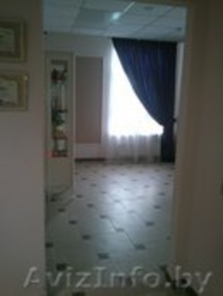 Сдается помещение под зоомагазин в субаренду - Изображение #5, Объявление #1103902