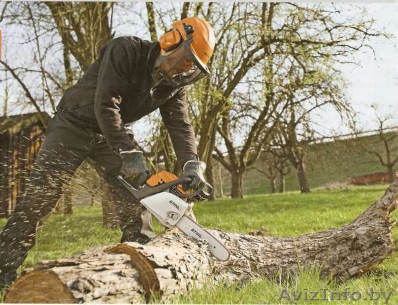 Скосим любую траву,спилим куст дерево - Изображение #3, Объявление #1109193