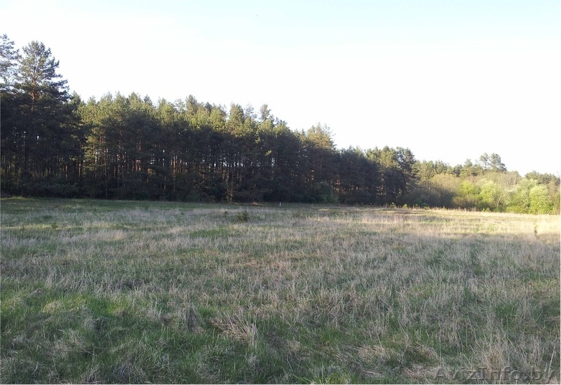 Продается участок 15 соток в 35 км от МКАД - Изображение #1, Объявление #1118027