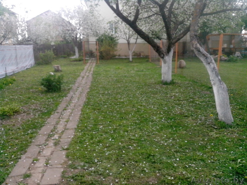 Гостиница для собак Floston-dog - Изображение #4, Объявление #1033586