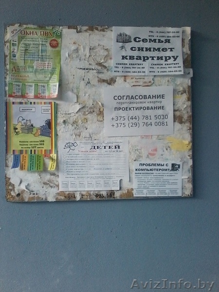 Услуга по расклеиванию объявлений в Минске - Изображение #5, Объявление #1116026