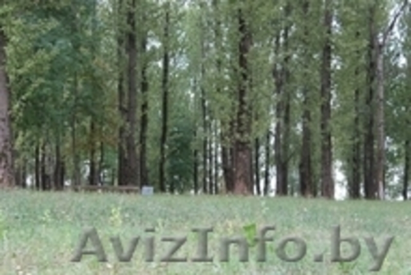 Бизнес-отель приглашает студентов!!! - Изображение #9, Объявление #1129627