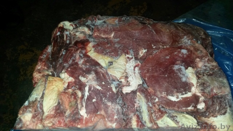 Говядина блочная глубокой заморозки "блочка" - Изображение #2, Объявление #1133915