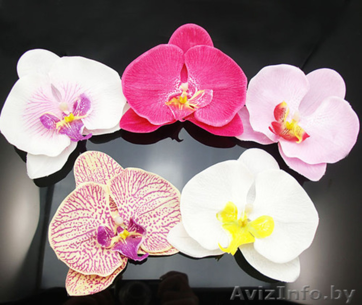Орхидеи - крокодильчики и повязки для девочек - Изображение #4, Объявление #945448