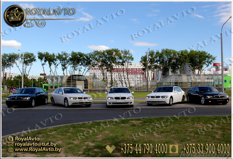 авто на свадьбу, прокат машин, украшение авто - Изображение #2, Объявление #1111099