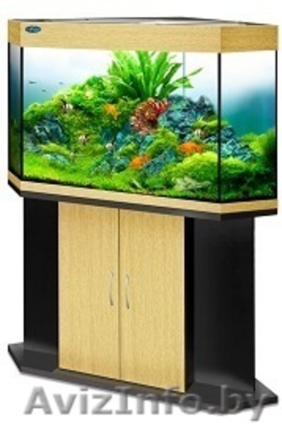 Аквариум Биодизайн - Изображение #3, Объявление #1147522
