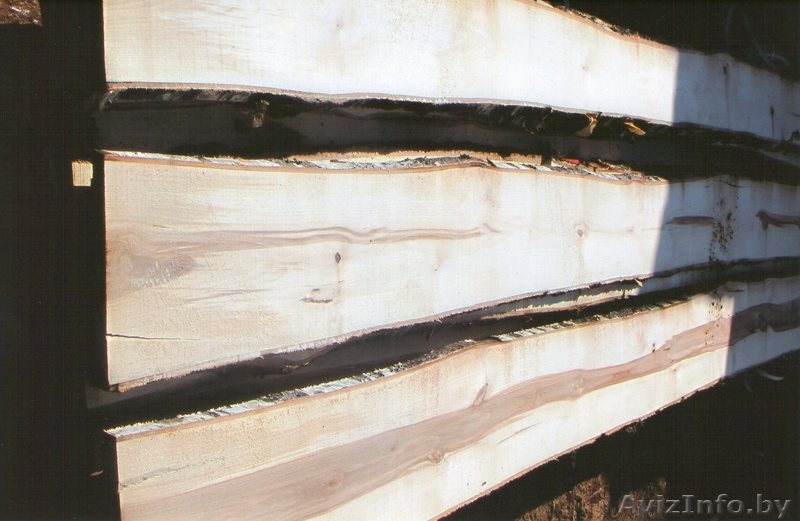 Закупаем не обрезную доску из березы - Изображение #3, Объявление #1140828