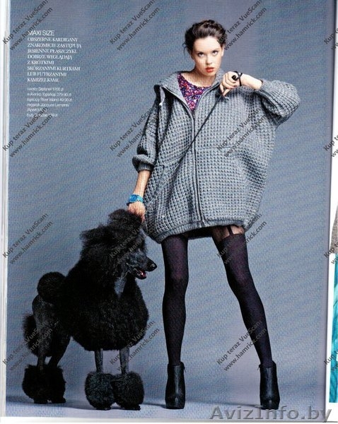 Королевский пудель украсит ваши фото - Изображение #1, Объявление #1154781