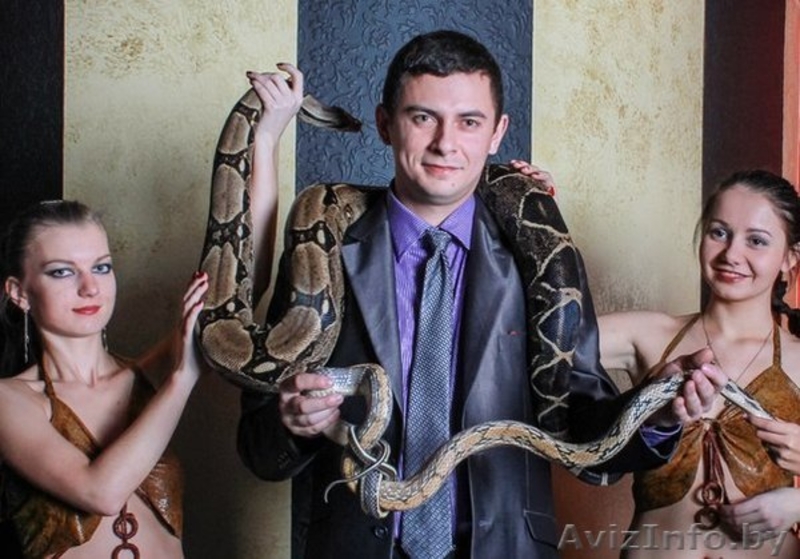 Фотоссейсии со змеями! Это прекрасный подарок для тех,кто хочет удивить гостей!! - Изображение #1, Объявление #1159307