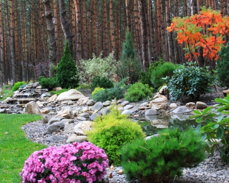 Ландшафтный дизайн, озеленение, благоустройство - Изображение #3, Объявление #1165553