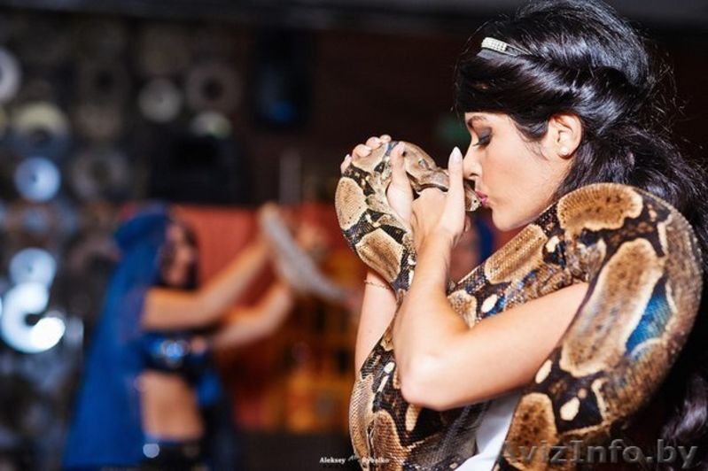 Считалось,что если привлечь змею,то она наделит вас властью и удачей.Змеи у Вас. - Изображение #3, Объявление #1159326