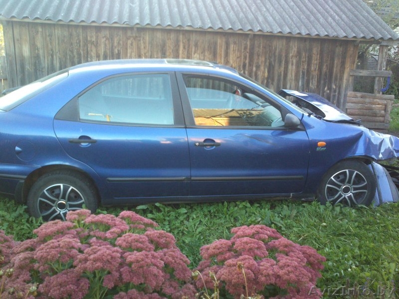 лепель судак алена 0298196875 0292901775 - Изображение #4, Объявление #1155562