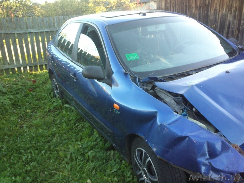 лепель судак алена 0298196875 0292901775 - Изображение #5, Объявление #1155562