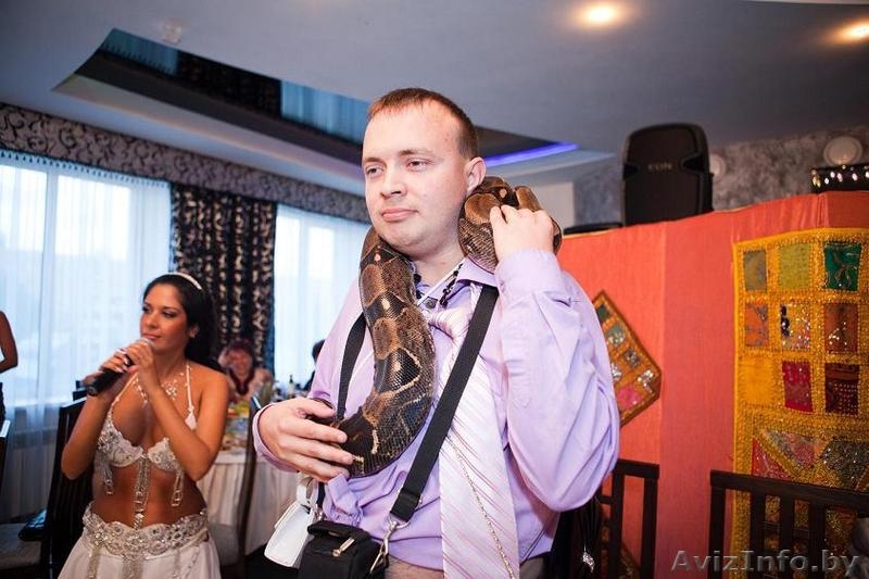 Фотоссейсии со змеями! Это прекрасный подарок для тех,кто хочет удивить гостей!! - Изображение #4, Объявление #1159307