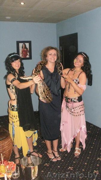 Фотоссейсии со змеями! Это прекрасный подарок для тех,кто хочет удивить гостей!! - Изображение #3, Объявление #1159307