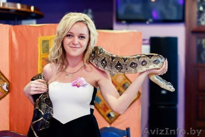 Фотоссейсии со змеями! Это прекрасный подарок для тех,кто хочет удивить гостей!! - Изображение #2, Объявление #1159307