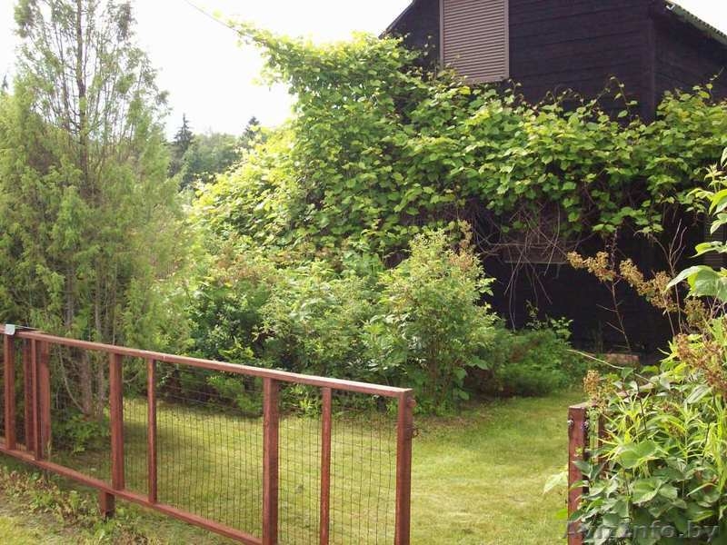 Дача для отдыха 100%готовности. Дом 6х4м - 2 этажа. Баня 6х4м на 2м этаже комнат - Изображение #2, Объявление #1181821