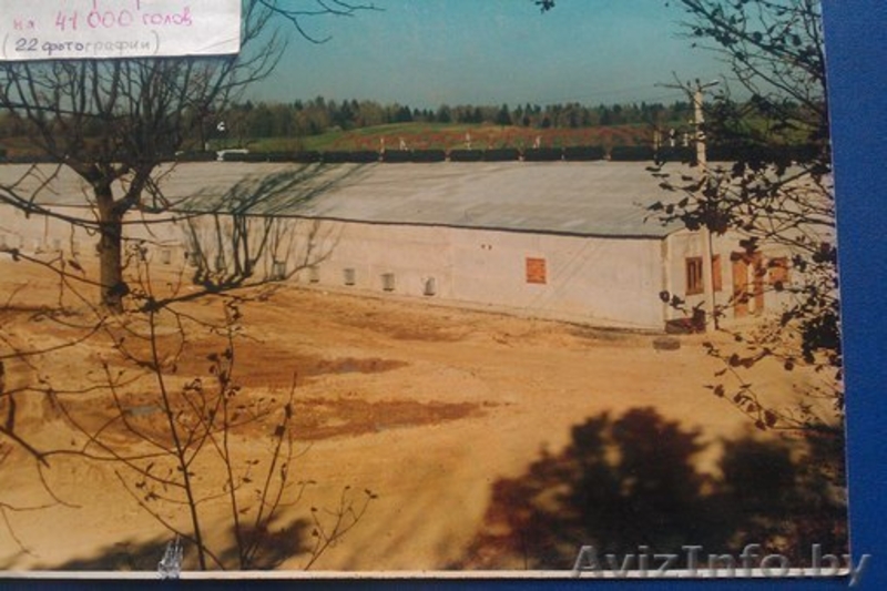 Продажа фермерского хозяйства. - Изображение #7, Объявление #1180577