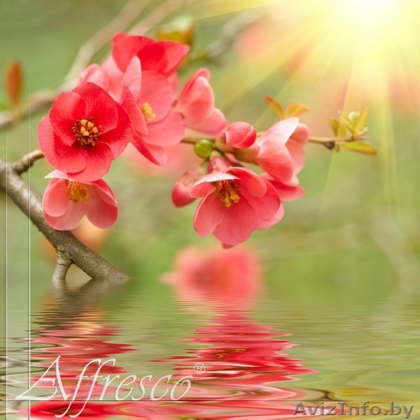 Декоративные штукатурки ,лепнина из гипса и полиуретана,фрески - Изображение #7, Объявление #1196928