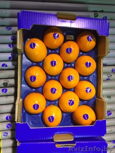 Продаем хурму из Испании - Изображение #3, Объявление #1188224