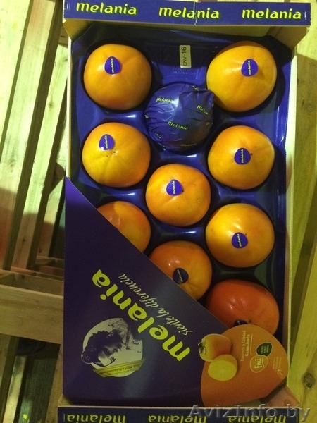 Продаем хурму из Испании - Изображение #4, Объявление #1188224