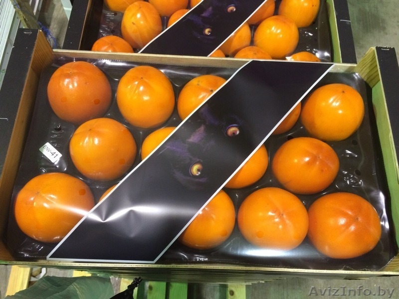 Продаем хурму из Испании - Изображение #6, Объявление #1188224