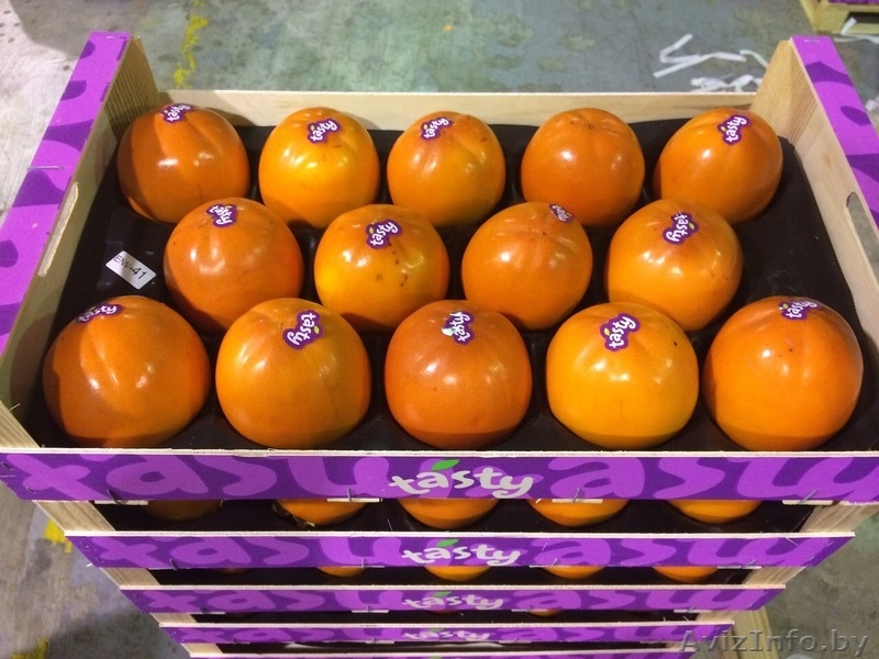 Продаем хурму из Испании - Изображение #8, Объявление #1188224