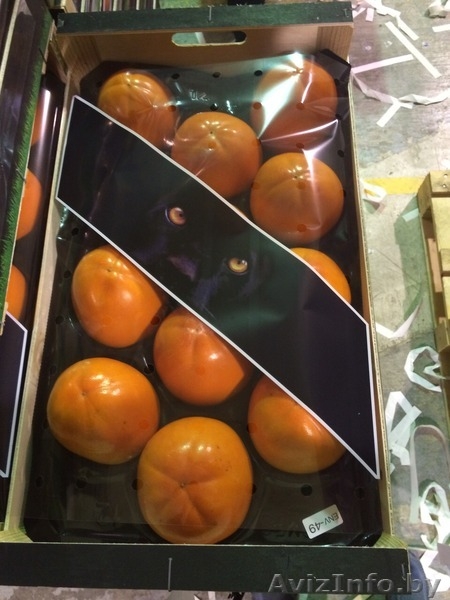 Продаем хурму из Испании - Изображение #9, Объявление #1188224
