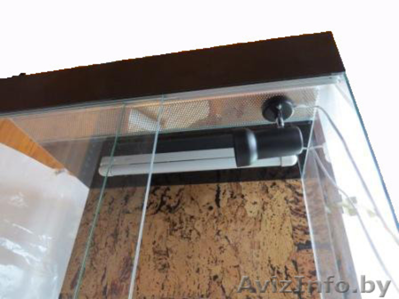 Террариумы для черепах, пауков, амфибий и других - Изображение #10, Объявление #1197521