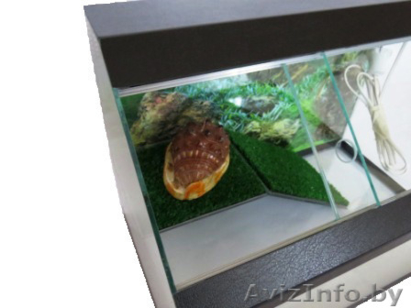 Террариумы для черепах, пауков, амфибий и других - Изображение #3, Объявление #1197521