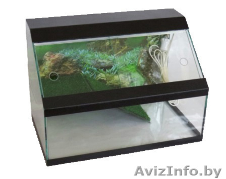 Террариумы для черепах, пауков, амфибий и других - Изображение #1, Объявление #1197521