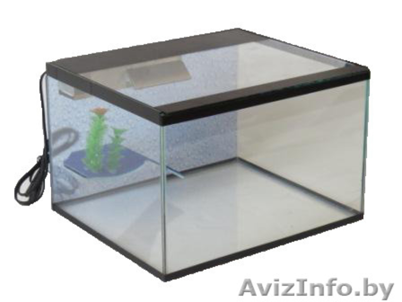 Террариумы для черепах, пауков, амфибий и других - Изображение #4, Объявление #1197521