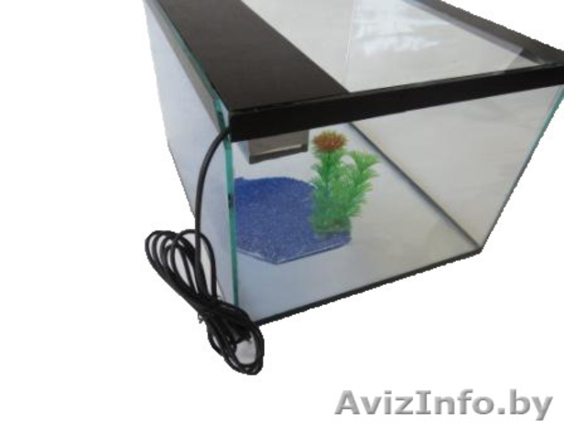 Террариумы для черепах, пауков, амфибий и других - Изображение #6, Объявление #1197521