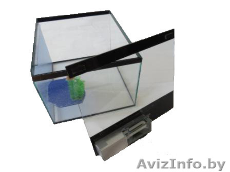 Террариумы для черепах, пауков, амфибий и других - Изображение #5, Объявление #1197521