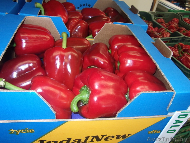 продаем перец из Испании - Изображение #5, Объявление #1188226