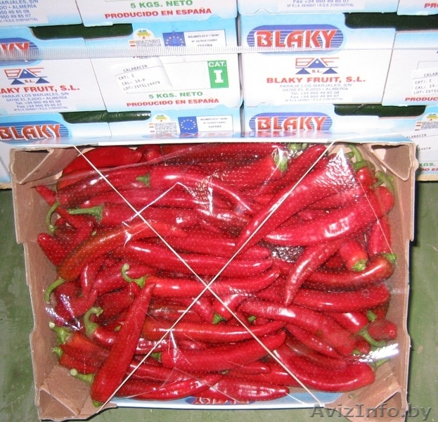 продаем перец из Испании - Изображение #8, Объявление #1188226