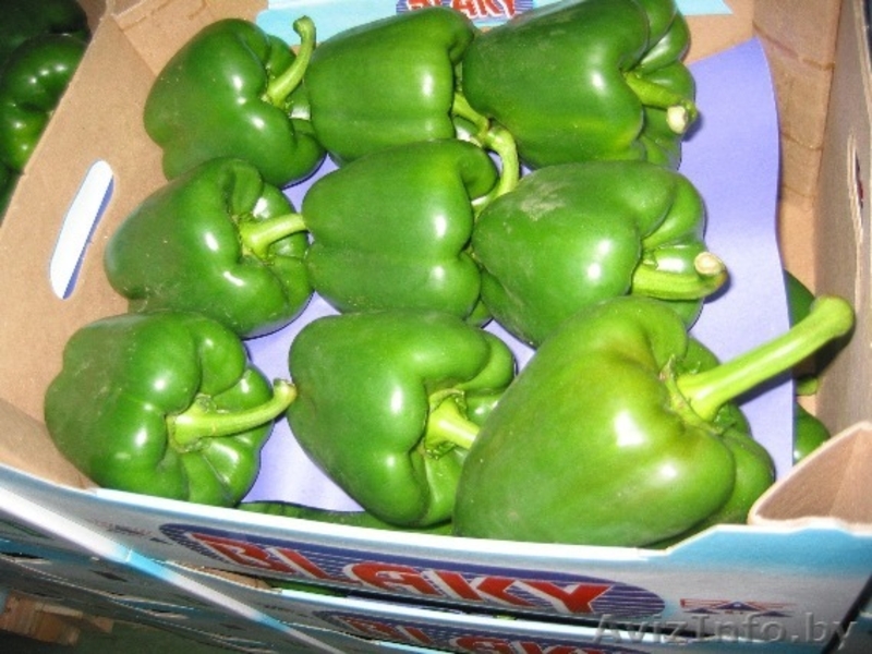 продаем перец из Испании - Изображение #3, Объявление #1188226
