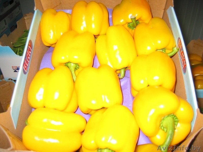 продаем перец из Испании - Изображение #6, Объявление #1188226