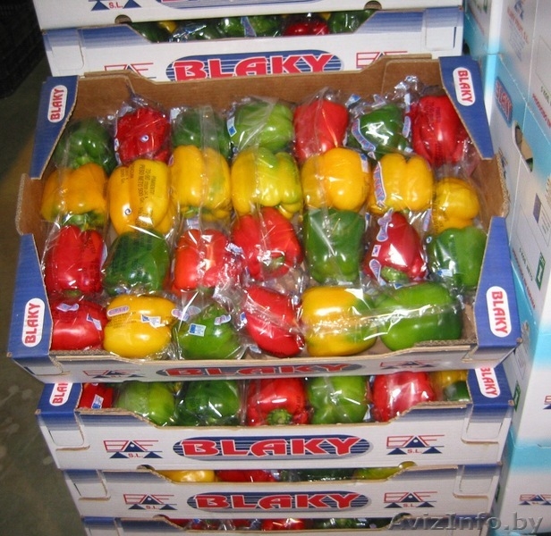 продаем перец из Испании - Изображение #7, Объявление #1188226