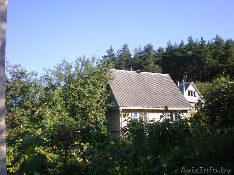 Продается дача в осиповичском направлении, ст. Седча - Изображение #1, Объявление #1207748