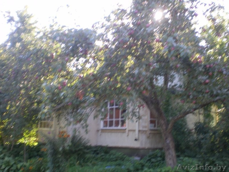 Продается дача в осиповичском направлении, ст. Седча - Изображение #2, Объявление #1207748