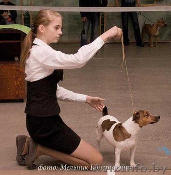 Предлагаю услуги хендлера - Изображение #7, Объявление #1202150