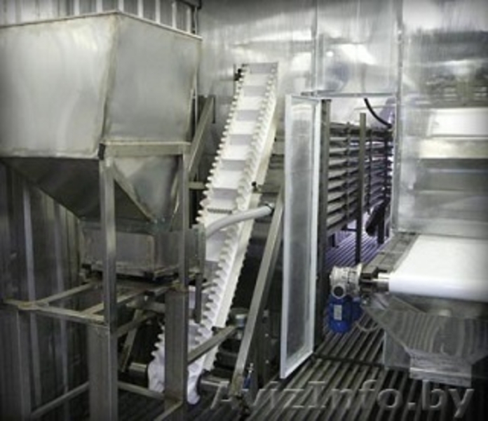 Устройства механической очистки, сортировки и шоковой заморозки ягод и грибов - Изображение #7, Объявление #1204754