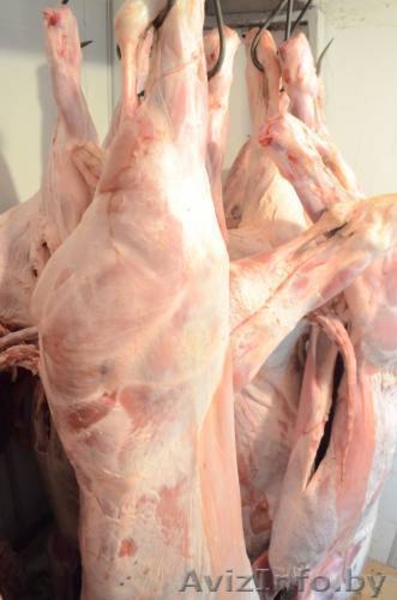 Все виды мяса.Туши, полутуши. Охлажденка, Заморозка - Изображение #4, Объявление #1204737