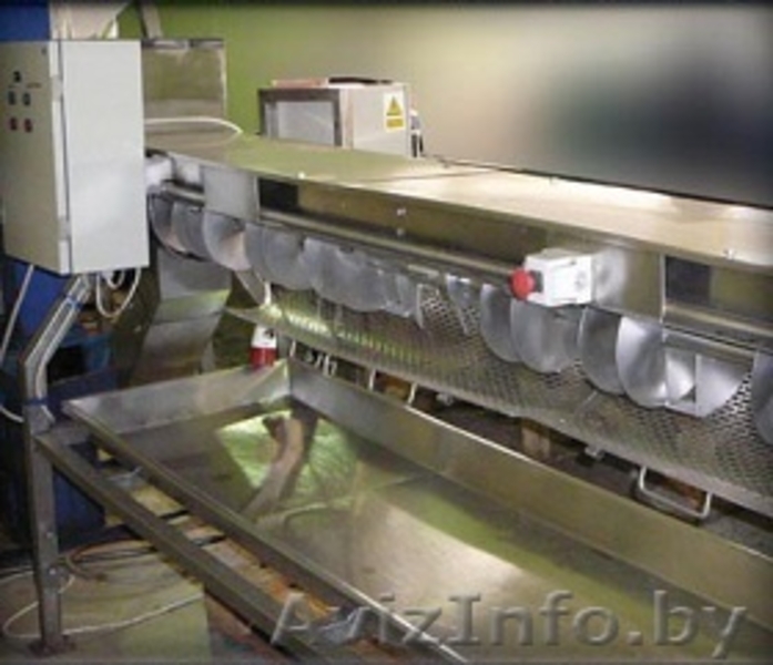 Устройства механической очистки, сортировки и шоковой заморозки ягод и грибов - Изображение #5, Объявление #1204754