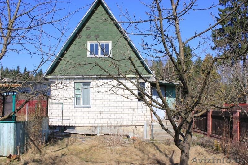 Продается дача в Раубичах (с/т "Узборье") - Изображение #8, Объявление #1220432