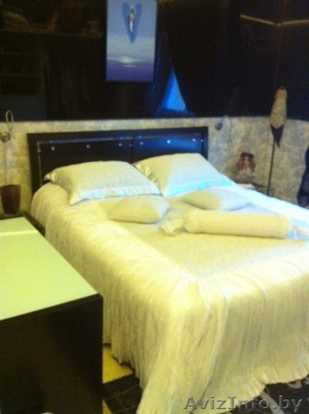 Шикарная VIP квартира 450$ 1-комнатная - Изображение #6, Объявление #1221474