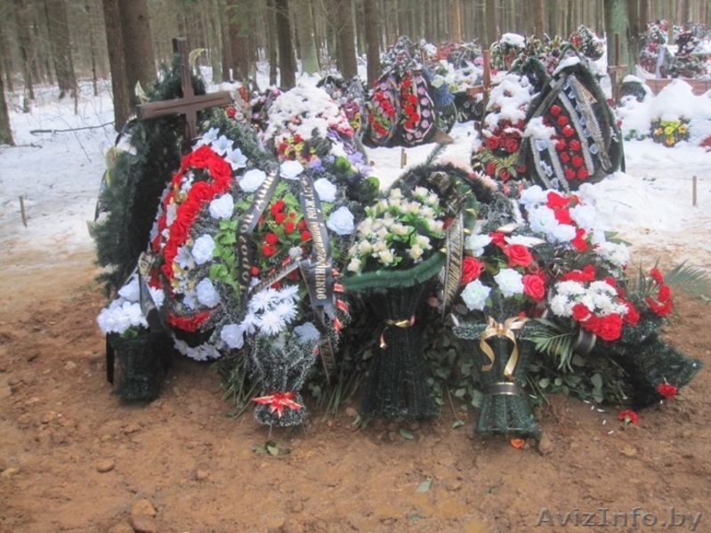 КОПКА ДОЛА( МОГИЛ) ПО Р.Б - Изображение #5, Объявление #1049256