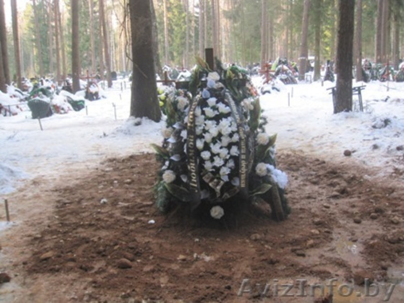 КОПКА ДОЛА( МОГИЛ) ПО Р.Б - Изображение #6, Объявление #1049256