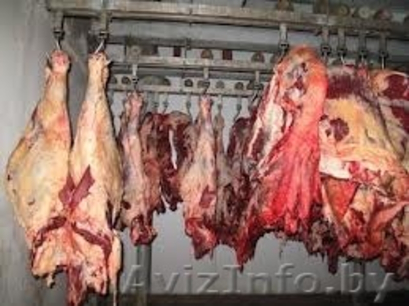 ПРОЕКТ ХОЛОДОСНАБЖЕНИЯ. Проектирование раздела «Холодоснабжение». Прое... - Изображение #2, Объявление #1213478